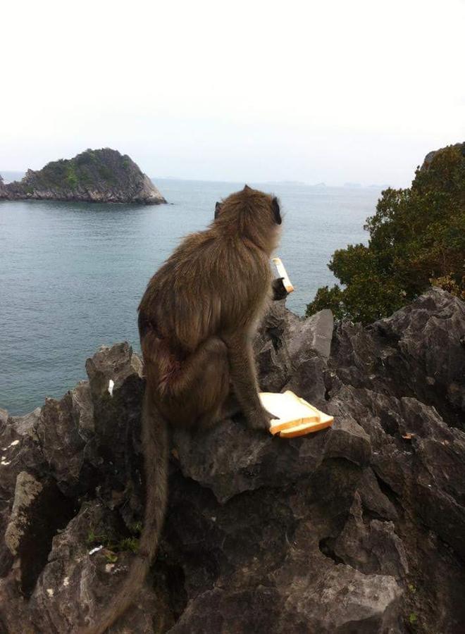 Le Pont Hotel Dong Khe Sau Εξωτερικό φωτογραφία